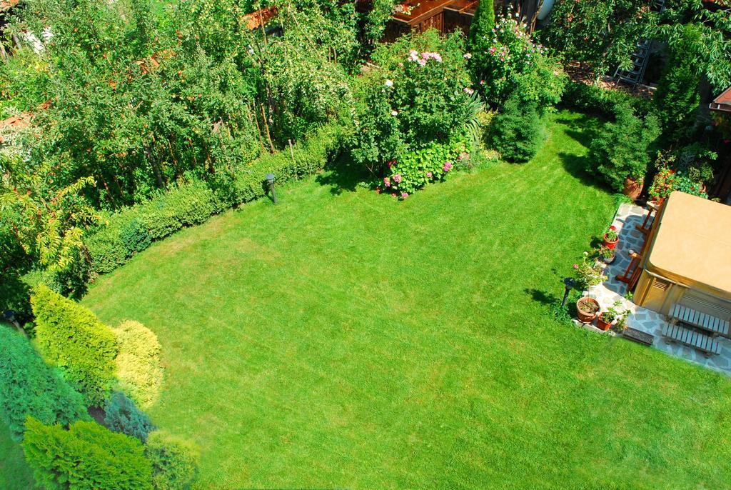 Guest House Chicho Tsane Bansko Buitenkant foto